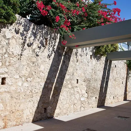 White Rocks Kefalonia ラッシ